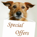 SPECIAL OFFERS FOR DOGS