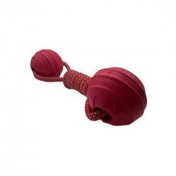 Bestpets Aqua Dog 2 Ball Tug Red