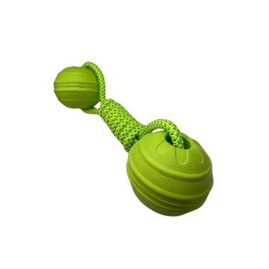 Bestpets Aqua Dog 2 Ball Tug Green