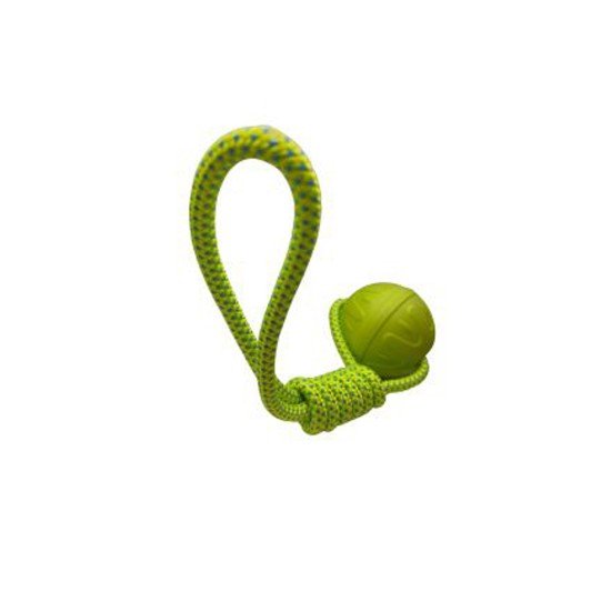 Bestpets Aqua Dog Aqua and Rope Toy Green Bestpets Aqua Dog Aqua and Rope Toy Green