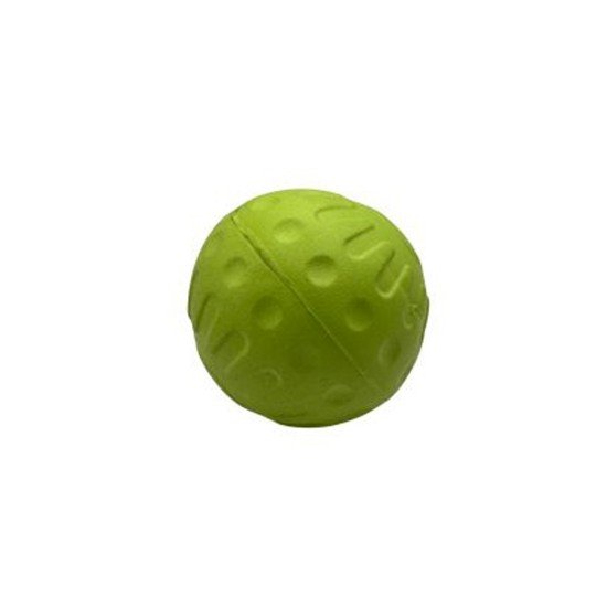 Bestpets Aqua Dog Float Ball Green