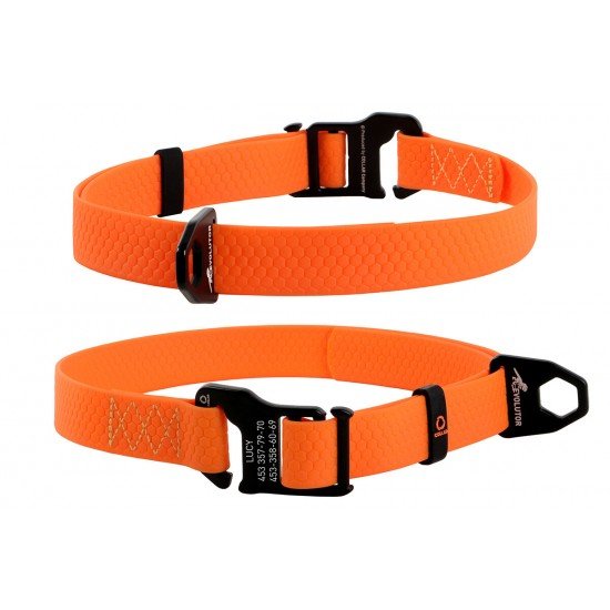 Evolutor collar for dog collar with aviation grade aluminum alloy buckle Orange