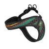 Harness for dogs HiDog Comfort Boha green