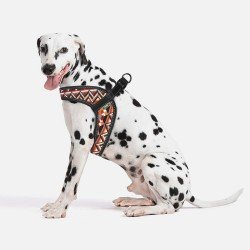 Harness for dogs HiDog Comfort Geometrik Harness for dogs HiDog Comfort Geometrik