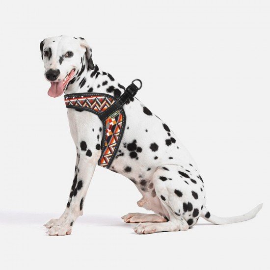 Harness for dogs HiDog Comfort Geometrik