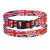 Collar for Dog PetMaks Waves of Britannia Collar for Dog PetMaks Waves of Britannia