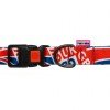 Collar for Dog PetMaks Waves of Britannia Collar for Dog PetMaks Waves of Britannia