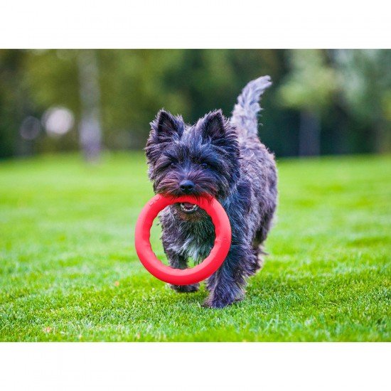 Ring for retrieving PitchDog Pink