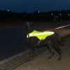 Trixie Safety Vest Neon Yellow for Dogs Trixie Safety Vest Neon Yellow for Dogs