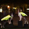 Trixie Safety Vest Neon Yellow for Dogs Trixie Safety Vest Neon Yellow for Dogs