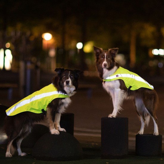 Trixie Safety Vest Neon Yellow for Dogs Trixie Safety Vest Neon Yellow for Dogs