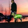 Trixie Safety Vest Neon Yellow for Dogs Trixie Safety Vest Neon Yellow for Dogs