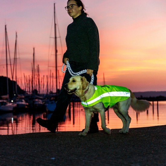 Trixie Safety Vest Neon Yellow for Dogs Trixie Safety Vest Neon Yellow for Dogs