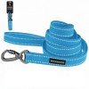 Leash for dogs Bronzedog Сotton Blue