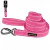 Leash for dogs Bronzedog Сotton Pink