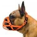 DOG COLLARS, HARNESSES, LEADS & TAGS