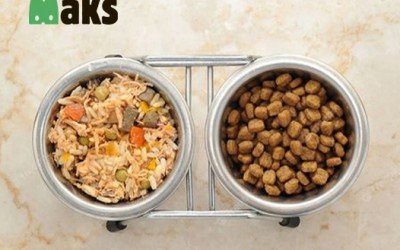 Natural Diet vs Dry Food: What to Choose for Your Pet?