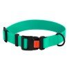 Collar for dogs BronzeDog Active Water-repellent Plastic Buckle Green