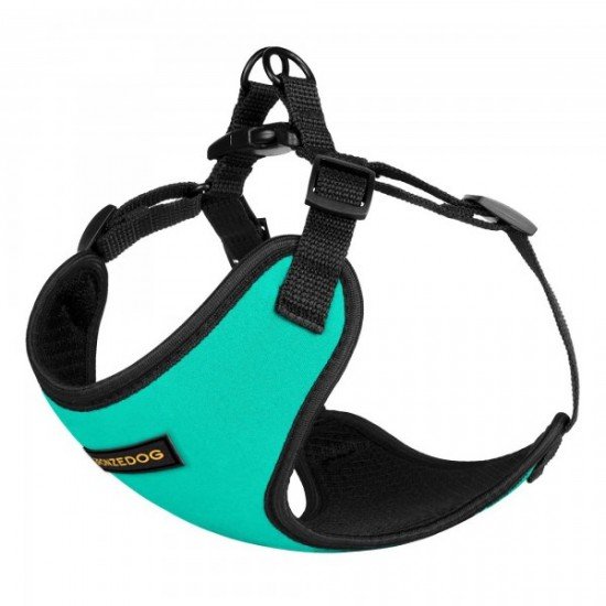 Harness for small breed dogs Bronzedog Sport Neoprene 3D Mesh Turquoise