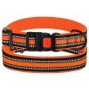 Collar for Dog Bronzedog Mesh Orange