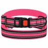 Collar for Dog Bronzedog Mesh Pink