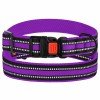 Collar for Dog Bronzedog Mesh Violet