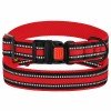 Collar for Dog Bronzedog Mesh Red