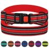 Collar for Dog Bronzedog Mesh Red