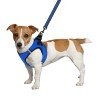 Harness for dogs Bronzedog Mesh Vest 3D mesh Blue