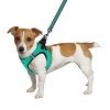 Harness for dogs Bronzedog Mesh Vest 3D mesh Menthol