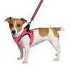 Harness for dogs Bronzedog Mesh Vest 3D mesh Pink