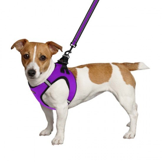 Harness for dogs Bronzedog Mesh Vest 3D mesh Violet