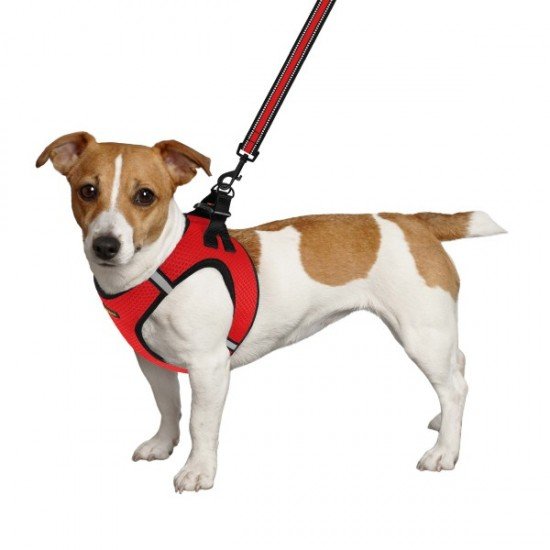 Harness for dogs Bronzedog Mesh Vest 3D mesh Red