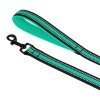 Leash for dogs BronzeDog Mesh Menthol