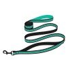 Leash for dogs BronzeDog Mesh Menthol