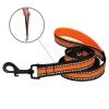 Leash for dogs BronzeDog Mesh Orange