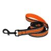 Leash for dogs BronzeDog Mesh Orange