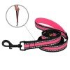 Leash for dogs BronzeDog Mesh Pink