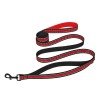 Leash for dogs BronzeDog Mesh Red