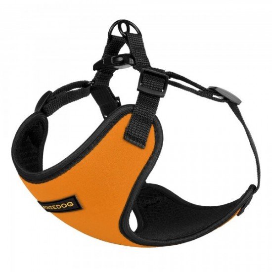 Harness for small breed dogs Bronzedog Sport Neoprene 3D Mesh Orange