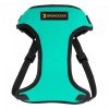 Harness for small breed dogs Bronzedog Sport Neoprene 3D Mesh Turquoise