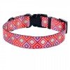 Collar for dogs BronzeDog Urban Hutsulsky Nylon Plastic Buckle Red