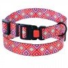 Collar for dogs BronzeDog Urban Hutsulsky Nylon Plastic Buckle Red