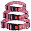 Collar for dogs BronzeDog Urban Hutsulsky Nylon Plastic Buckle Red