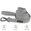 Leash for dogs Bronzedog Сotton Gray