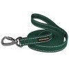 Leash for dogs Bronzedog Сotton Green