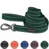 Leash for dogs Bronzedog Сotton Green