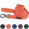 Leash for dogs Bronzedog Сotton Orange