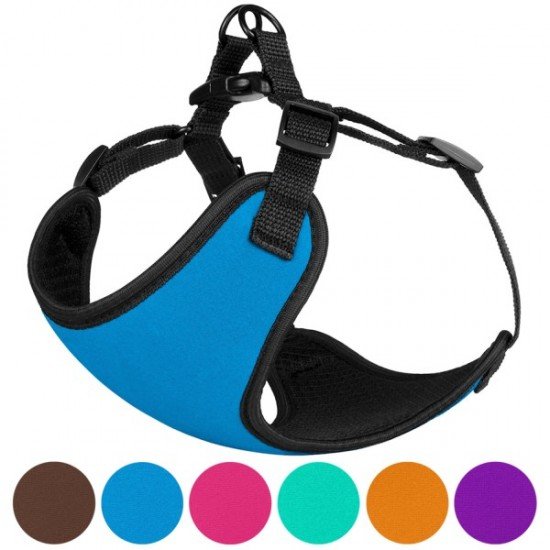 Harness for small breed dogs Bronzedog Sport Neoprene 3D Mesh Blue