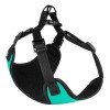 Harness for small breed dogs Bronzedog Sport Neoprene 3D Mesh Turquoise